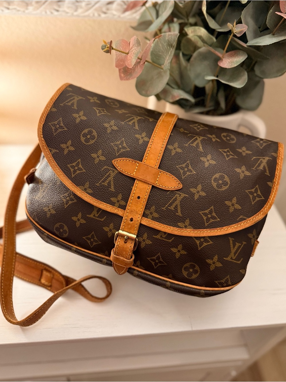 Louis Vuitton Monogram Saumur 30 Bag - Picture 1 of 14